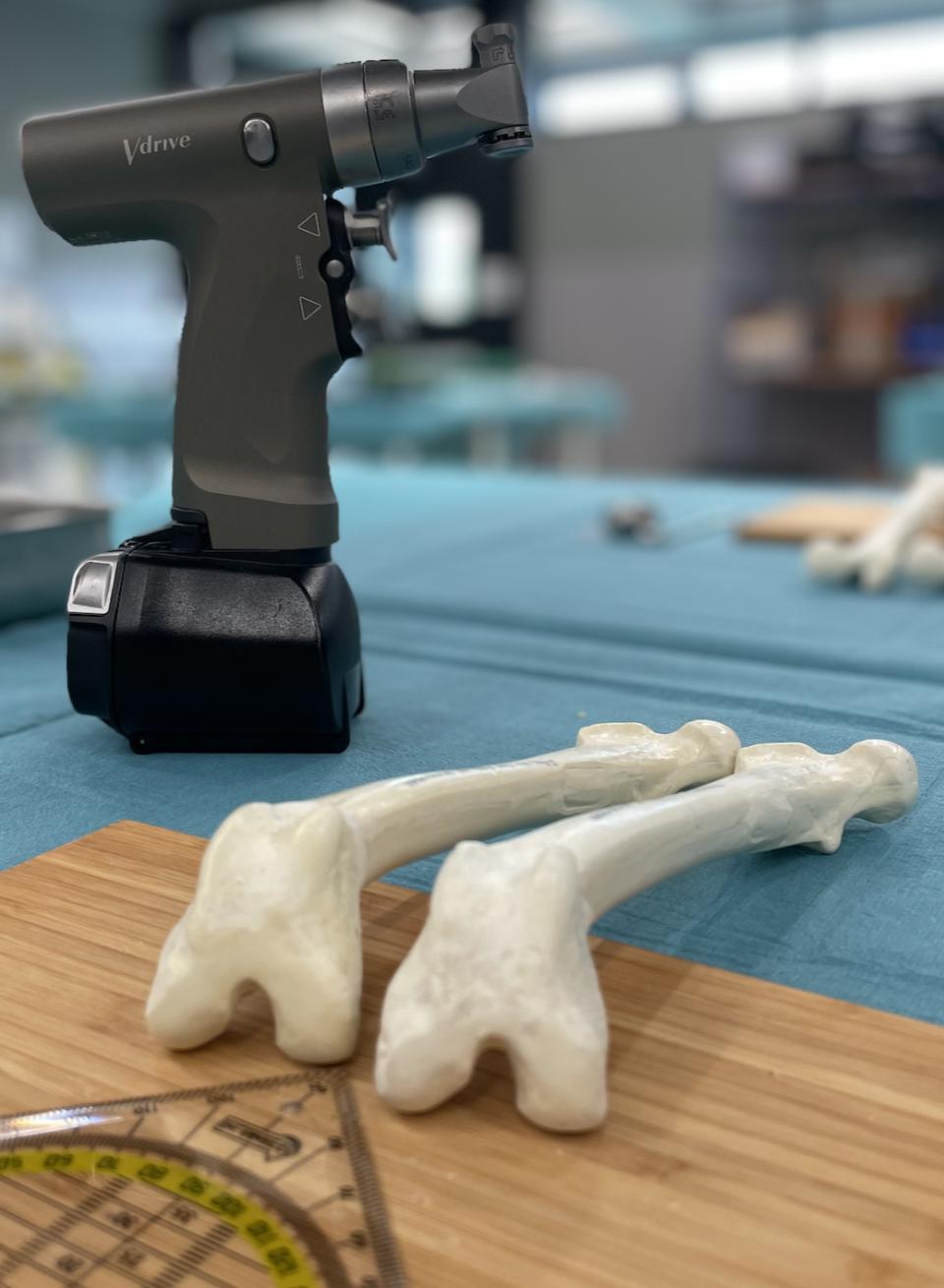 Patella Luxation Advanced